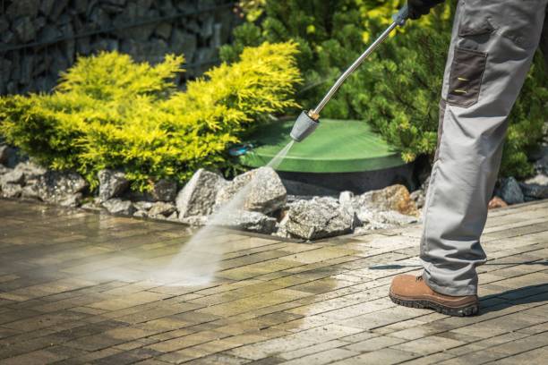 Best Solar Panel Cleaning  in Ionia, MI