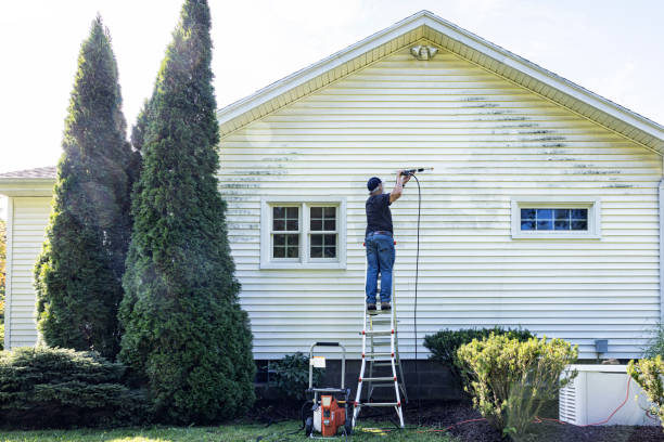 Best Dumpster Area Cleaning  in Ionia, MI