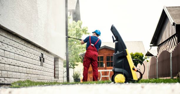 Best Fence Cleaning  in Ionia, MI